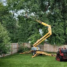 Best Storm Damage Tree Cleanup  in Breese, IL